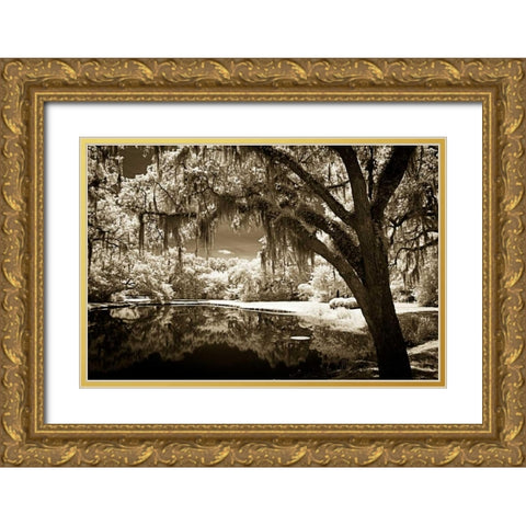 Walkers Pond II Gold Ornate Wood Framed Art Print with Double Matting by Hausenflock, Alan