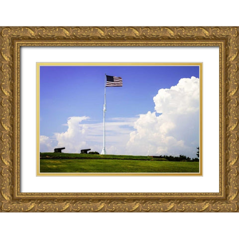 Ol Glory I Gold Ornate Wood Framed Art Print with Double Matting by Hausenflock, Alan