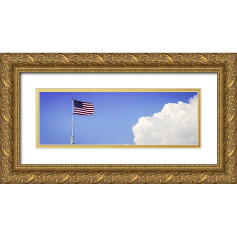 Ol Glory III Gold Ornate Wood Framed Art Print with Double Matting by Hausenflock, Alan