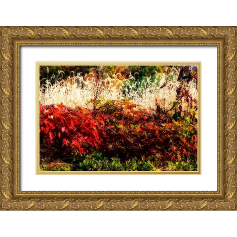 Color Of Fall I Gold Ornate Wood Framed Art Print with Double Matting by Hausenflock, Alan