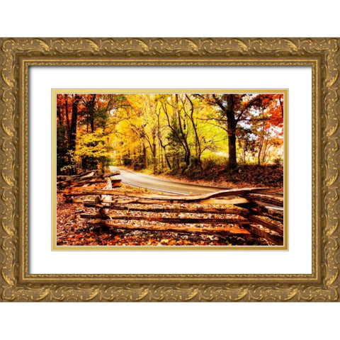 Overcast Afternoon Gold Ornate Wood Framed Art Print with Double Matting by Hausenflock, Alan