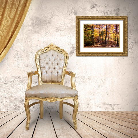 Hanover Forest II Gold Ornate Wood Framed Art Print with Double Matting by Hausenflock, Alan