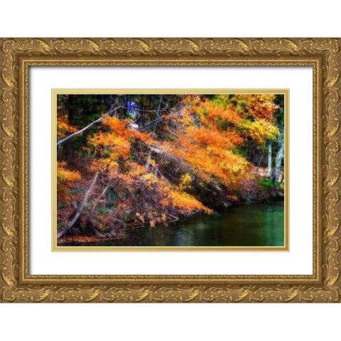 Color Of Fall III Gold Ornate Wood Framed Art Print with Double Matting by Hausenflock, Alan