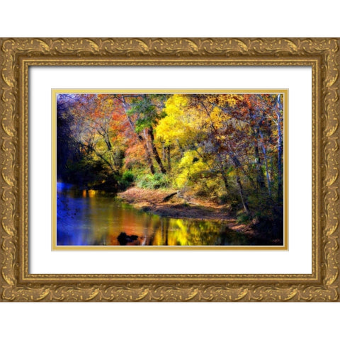 Color Of Fall IV Gold Ornate Wood Framed Art Print with Double Matting by Hausenflock, Alan