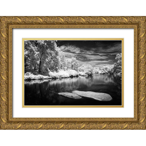 Bryan Lake III Gold Ornate Wood Framed Art Print with Double Matting by Hausenflock, Alan
