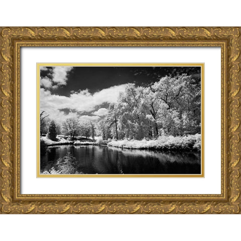 Bryan Lake IV Gold Ornate Wood Framed Art Print with Double Matting by Hausenflock, Alan