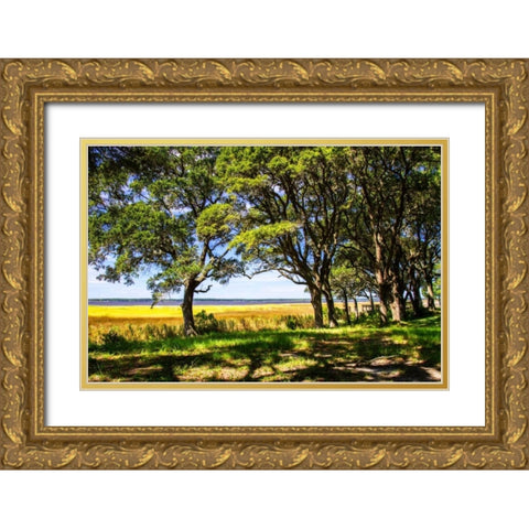 Cape Fear Overlook Gold Ornate Wood Framed Art Print with Double Matting by Hausenflock, Alan