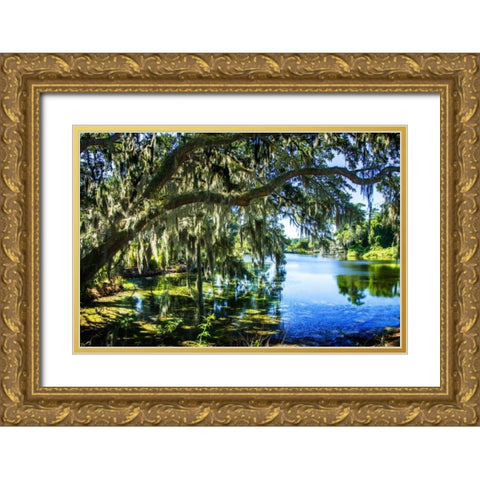 Spanish Moss I Gold Ornate Wood Framed Art Print with Double Matting by Hausenflock, Alan