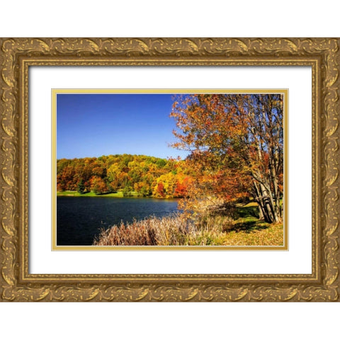 Highland Autumn I Gold Ornate Wood Framed Art Print with Double Matting by Hausenflock, Alan