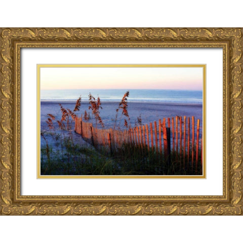 Sunrise in the Dunes Gold Ornate Wood Framed Art Print with Double Matting by Hausenflock, Alan