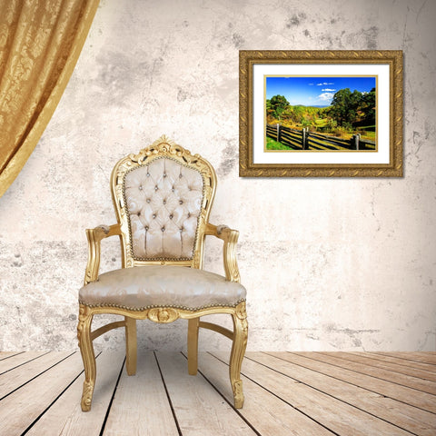 Blue Ridge Backyard Gold Ornate Wood Framed Art Print with Double Matting by Hausenflock, Alan
