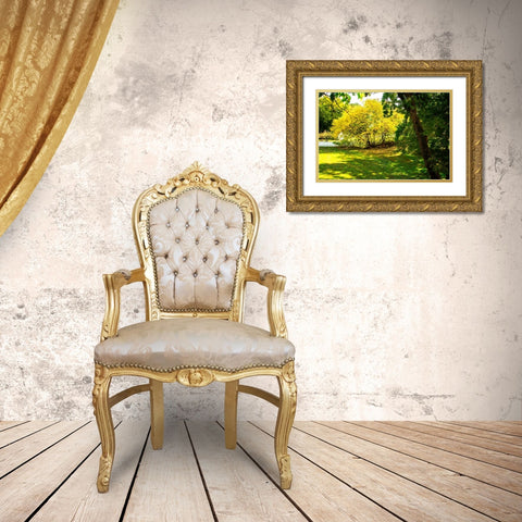 Backyard Color I Gold Ornate Wood Framed Art Print with Double Matting by Hausenflock, Alan