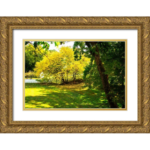 Backyard Color I Gold Ornate Wood Framed Art Print with Double Matting by Hausenflock, Alan