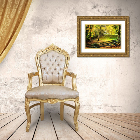 Backyard Color II Gold Ornate Wood Framed Art Print with Double Matting by Hausenflock, Alan