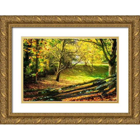 Backyard Color II Gold Ornate Wood Framed Art Print with Double Matting by Hausenflock, Alan