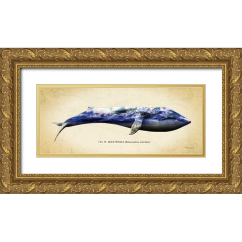 Blue Whale Gold Ornate Wood Framed Art Print with Double Matting by Hausenflock, Alan