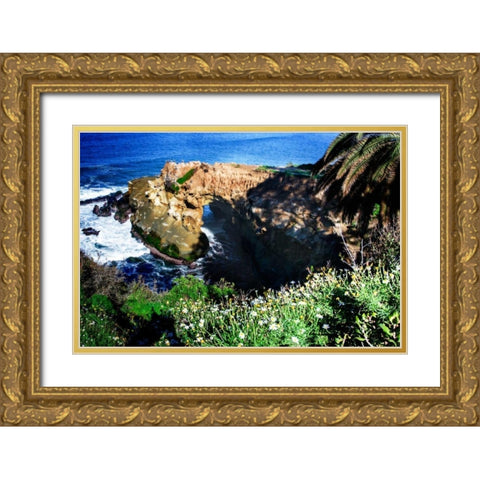 Goldfish Point I Gold Ornate Wood Framed Art Print with Double Matting by Hausenflock, Alan