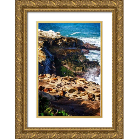 La Jolla Sea Lions I Gold Ornate Wood Framed Art Print with Double Matting by Hausenflock, Alan
