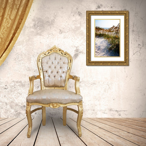Sea Oats and Shadow II Gold Ornate Wood Framed Art Print with Double Matting by Hausenflock, Alan