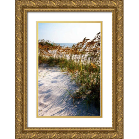Sea Oats and Shadow II Gold Ornate Wood Framed Art Print with Double Matting by Hausenflock, Alan