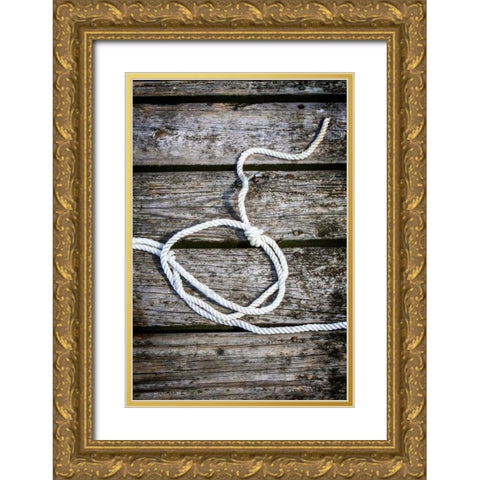 Halyard I Gold Ornate Wood Framed Art Print with Double Matting by Hausenflock, Alan