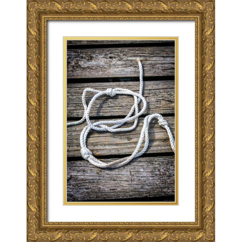 Halyard II Gold Ornate Wood Framed Art Print with Double Matting by Hausenflock, Alan