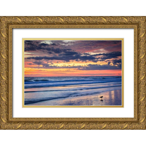 Gulls on the Shore II Gold Ornate Wood Framed Art Print with Double Matting by Hausenflock, Alan