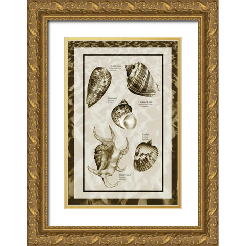 Sand and Shells I Gold Ornate Wood Framed Art Print with Double Matting by Hausenflock, Alan