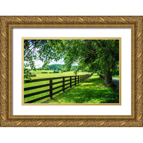 Cumberland County I Gold Ornate Wood Framed Art Print with Double Matting by Hausenflock, Alan