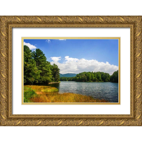 Mountain Lake I Gold Ornate Wood Framed Art Print with Double Matting by Hausenflock, Alan