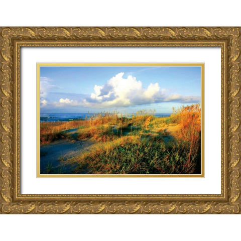 Dunes II Gold Ornate Wood Framed Art Print with Double Matting by Hausenflock, Alan