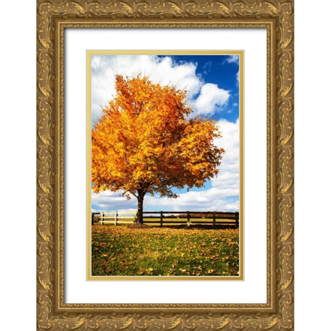 Trees of Gold II Gold Ornate Wood Framed Art Print with Double Matting by Hausenflock, Alan
