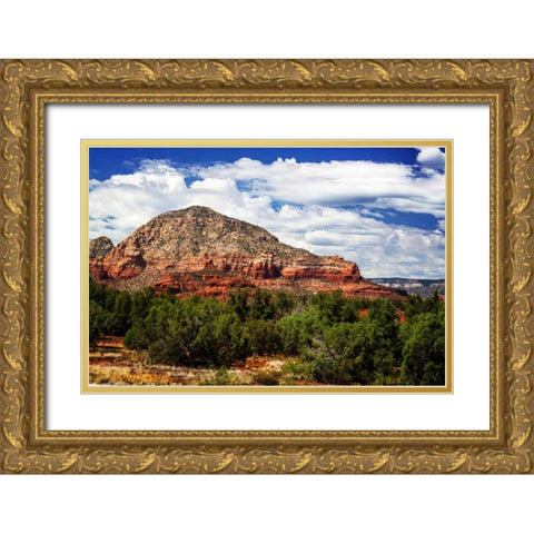 Sedona Skies II Gold Ornate Wood Framed Art Print with Double Matting by Hausenflock, Alan