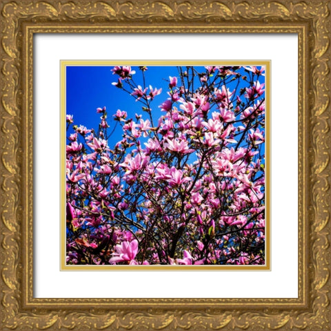 Springs Herald II Gold Ornate Wood Framed Art Print with Double Matting by Hausenflock, Alan