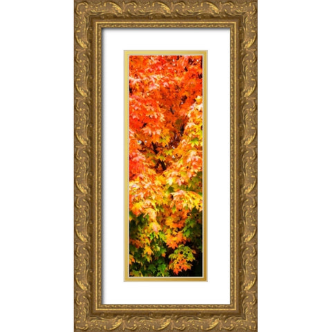 Autumn Maple I Gold Ornate Wood Framed Art Print with Double Matting by Hausenflock, Alan