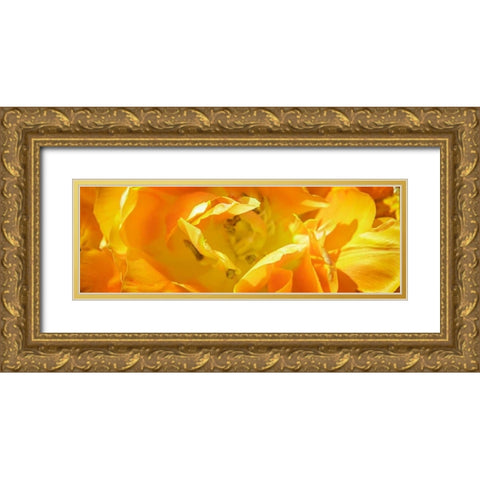 Petals II Gold Ornate Wood Framed Art Print with Double Matting by Hausenflock, Alan