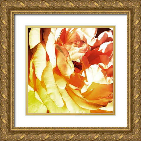 Bicolored Angel II Gold Ornate Wood Framed Art Print with Double Matting by Hausenflock, Alan