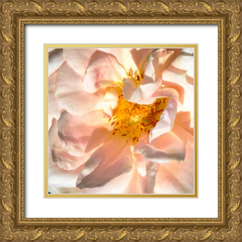 Pink Lady I Gold Ornate Wood Framed Art Print with Double Matting by Hausenflock, Alan