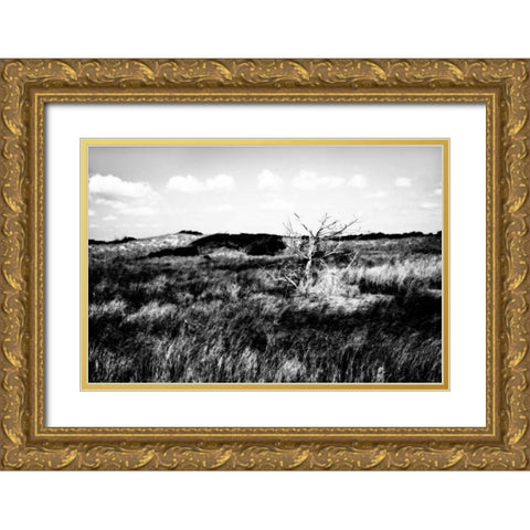 Bear Island I Gold Ornate Wood Framed Art Print with Double Matting by Hausenflock, Alan