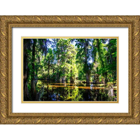 Cypress Pond I Gold Ornate Wood Framed Art Print with Double Matting by Hausenflock, Alan