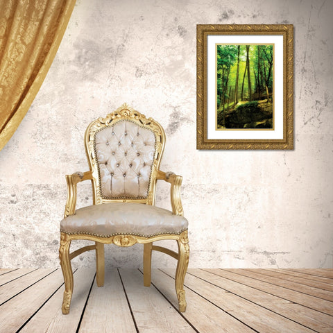 Deep Woods I Gold Ornate Wood Framed Art Print with Double Matting by Hausenflock, Alan