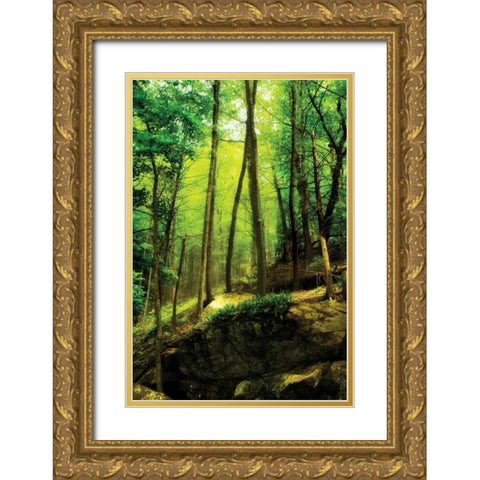 Deep Woods I Gold Ornate Wood Framed Art Print with Double Matting by Hausenflock, Alan