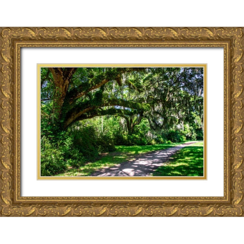 Plantation Walk Gold Ornate Wood Framed Art Print with Double Matting by Hausenflock, Alan