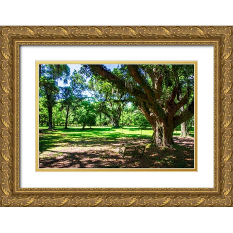 Summer Swing Gold Ornate Wood Framed Art Print with Double Matting by Hausenflock, Alan