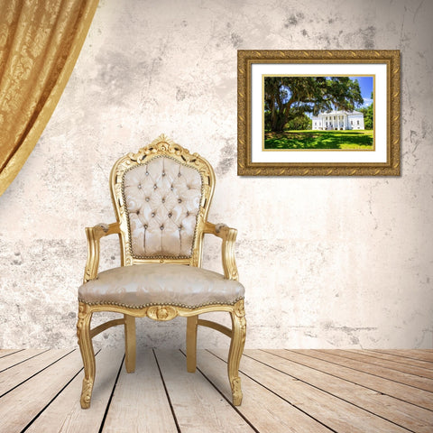 Hampton Plantation Gold Ornate Wood Framed Art Print with Double Matting by Hausenflock, Alan