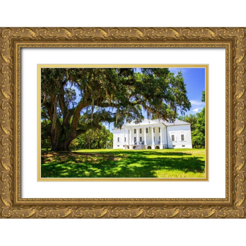Hampton Plantation Gold Ornate Wood Framed Art Print with Double Matting by Hausenflock, Alan