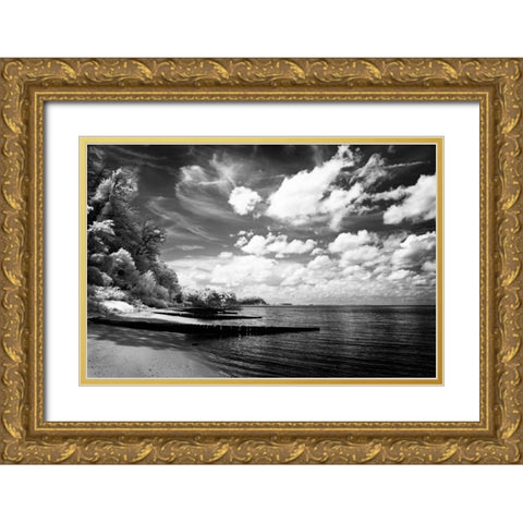 Tappahannock Shores I Gold Ornate Wood Framed Art Print with Double Matting by Hausenflock, Alan