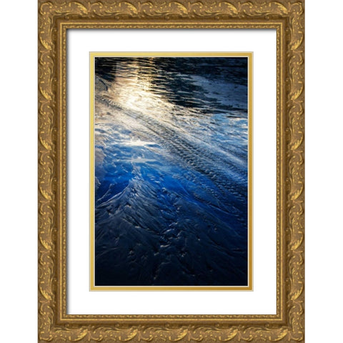 Water Etchings I Gold Ornate Wood Framed Art Print with Double Matting by Hausenflock, Alan