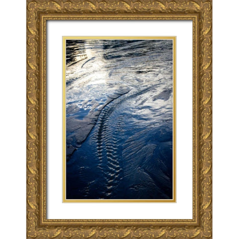 Water Etchings II Gold Ornate Wood Framed Art Print with Double Matting by Hausenflock, Alan