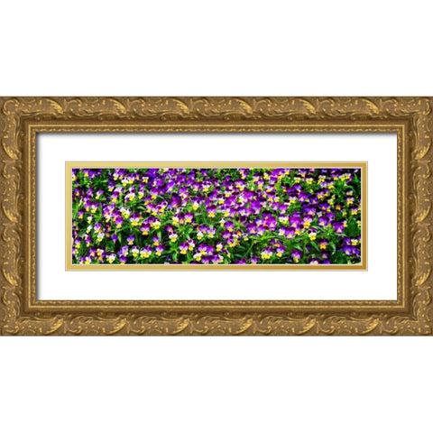 Spring Flowers I Gold Ornate Wood Framed Art Print with Double Matting by Hausenflock, Alan